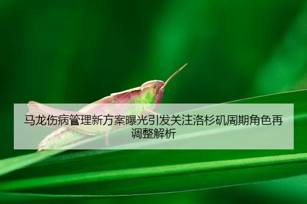 马龙伤病管理新方案曝光引发关注洛杉矶周期角色再调整解析