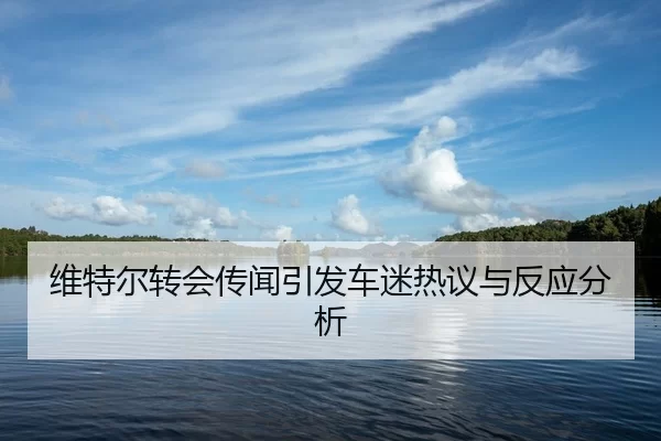 wei-te-er-zhuan-hui-chuan-wen-yin-fa-che-mi-re-yi-yu-fan-ying-fen-xi-2-392.jpg