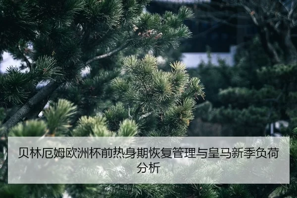 bei-lin-e-mu-ou-zhou-bei-qian-re-shen-qi-hui-fu-guan-li-yu-huang-ma-xin-ji-fu-he-fen-xi-2-524.jpg