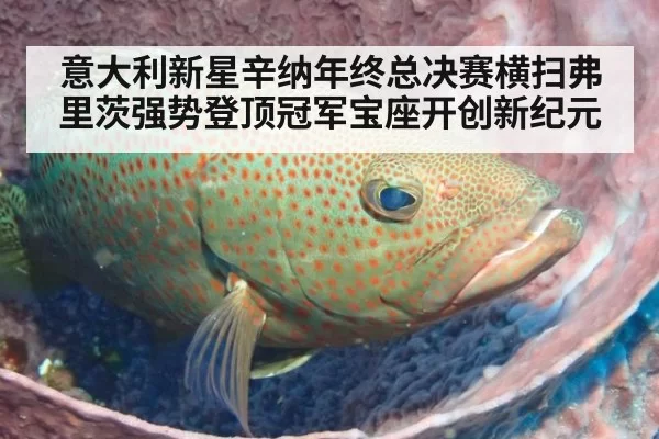 意大利新星辛纳年终总决赛横扫弗里茨强势登顶冠军宝座开创新纪元
